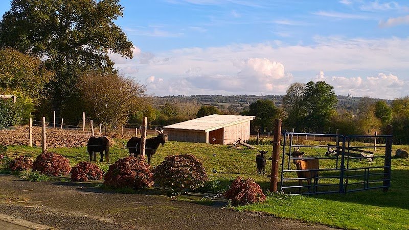 Ecurie de la Bergerie - photo 3