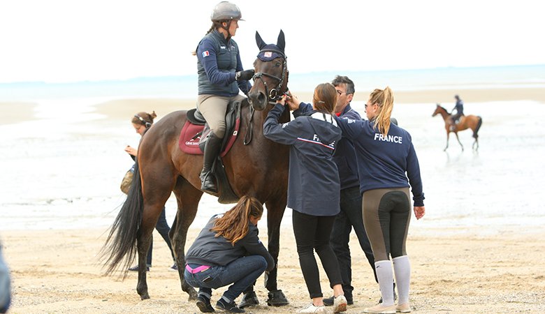 Ecurie Francis Gamichon SCEA - photo 2