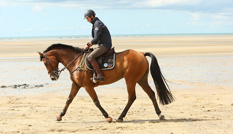 Ecurie Francis Gamichon SCEA - photo 3