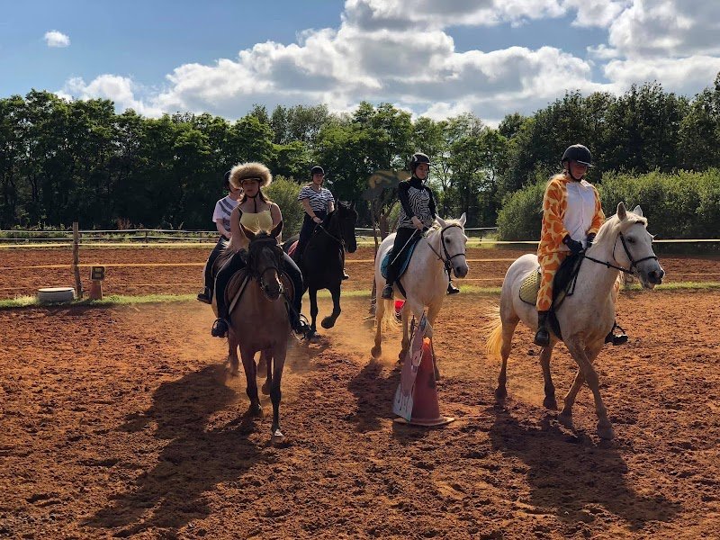 La Ferme Équestre de la forêt - photo 1