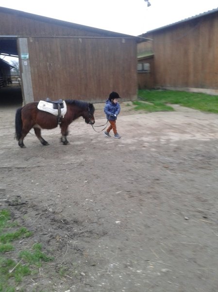La Ferme Équestre de la forêt - photo 3