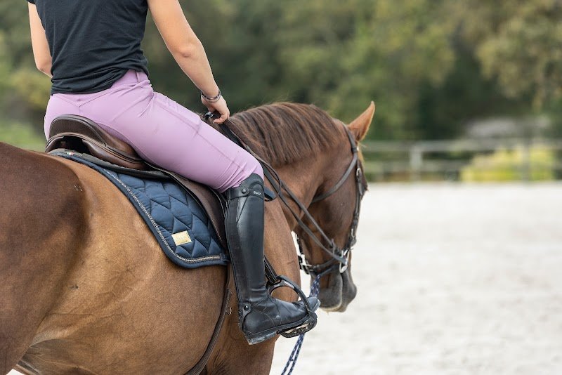 Centre Équestre Lann Er Roch