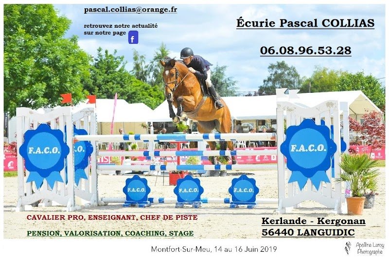 Écurie Pascal COLLIAS - photo 3