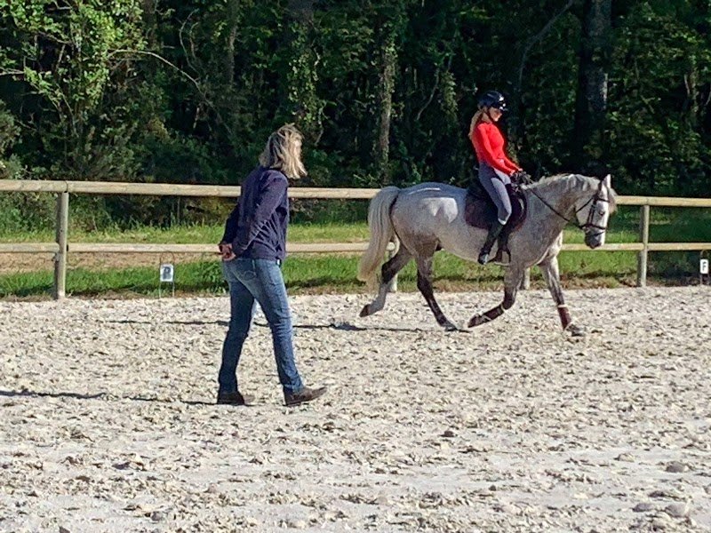 Ecurie du JEM - photo 2