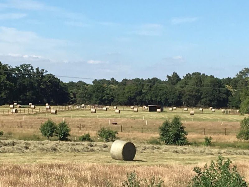 Ecurie du JEM - photo 3