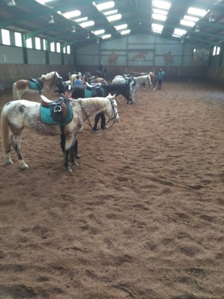 Les Ecuries De La Chênaie - photo 3