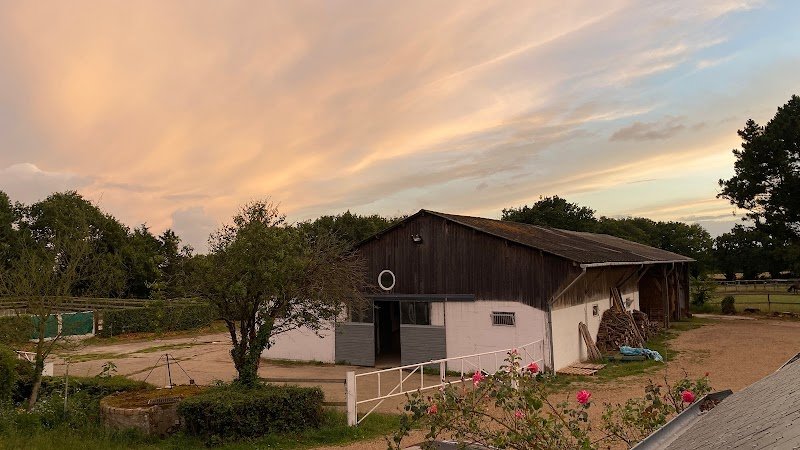 Haras d'Aurlann - photo 3