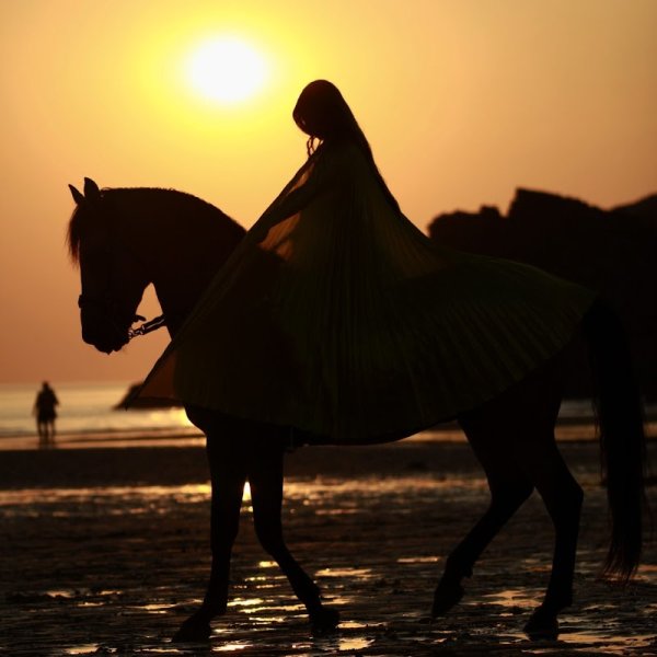 Ecurie des 5 chênes - photo 1