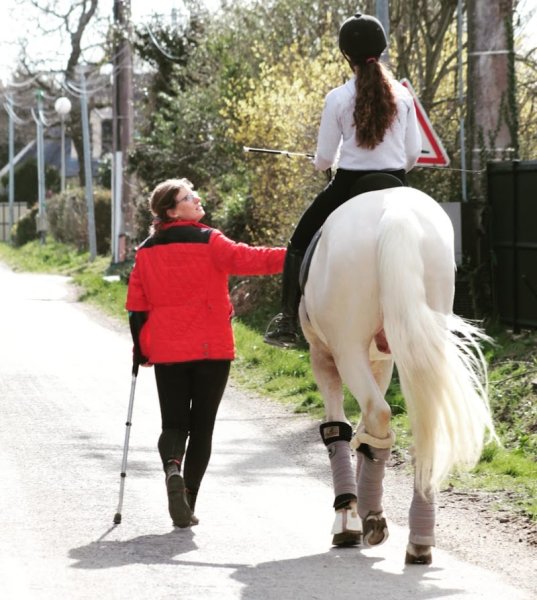 Ecurie des 5 chênes - photo 2