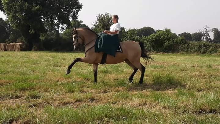 Ecurie des 5 chênes - photo 3
