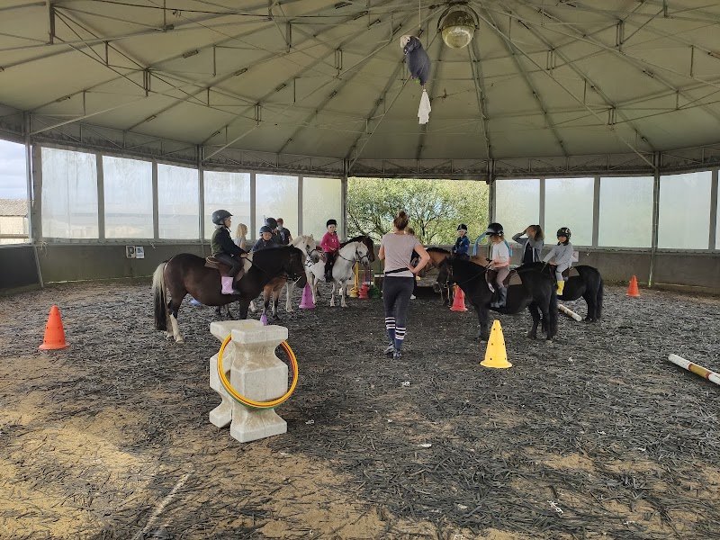 Société Hippique de Lanester - photo 2