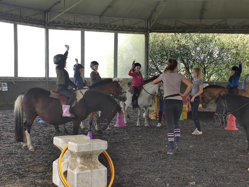 Société Hippique de Lanester - photo 3