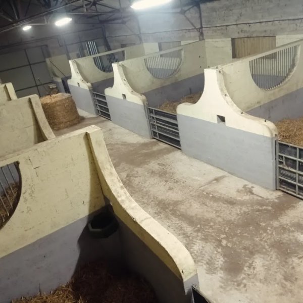 Écurie La Fontaine - Benoît Jan - photo 1