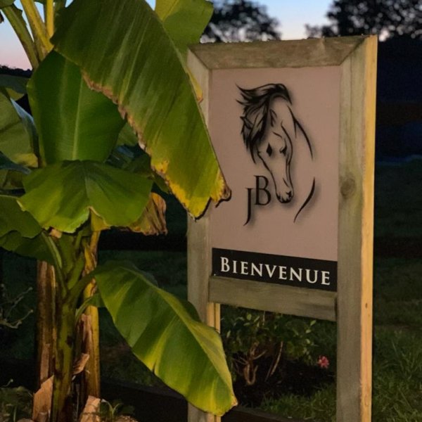 Écurie La Fontaine - Benoît Jan - photo 3