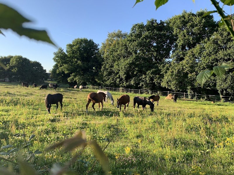 Elevage de l'abermarc'h - pension