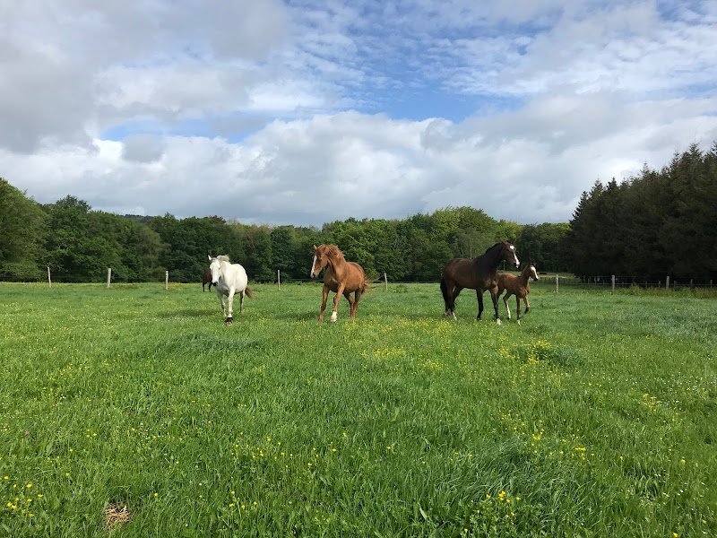 Haras des Chênes Rouges