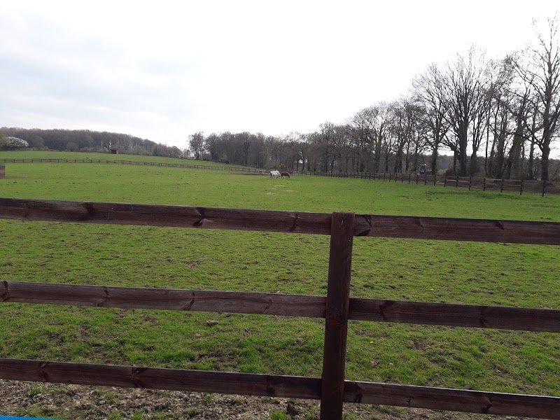 Le Gal Philippe écurie de Lann Menhir - photo 2
