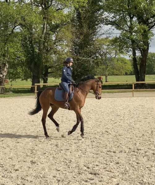 Écurie Nazar - photo 3