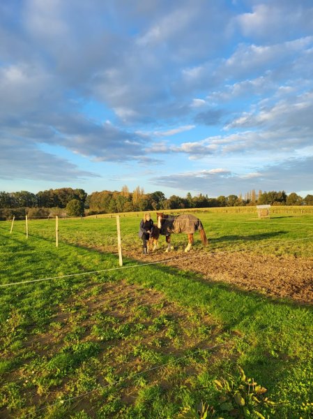 Écurie de Keralmont - photo 1