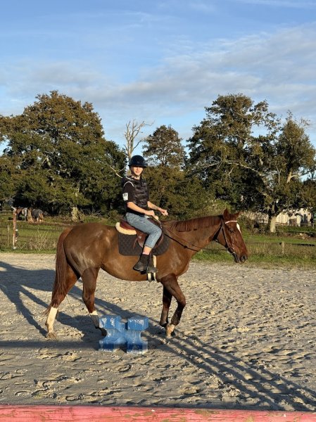 Ecuries Laouen - photo 1