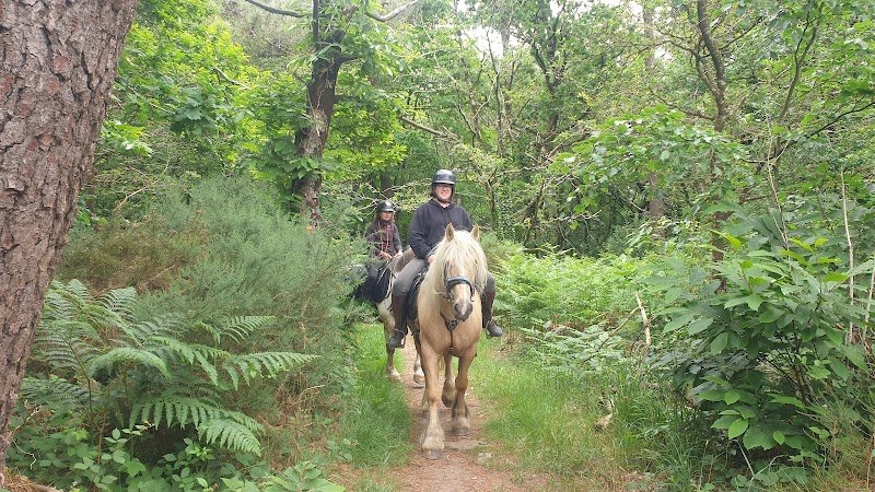 L'Escapade équestre pleine nature - photo 2