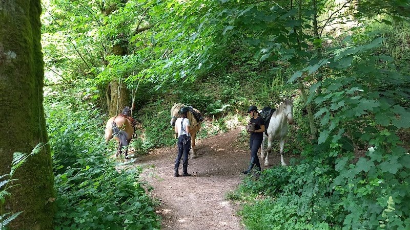 L'Escapade équestre pleine nature - photo 3