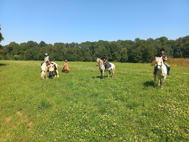 Ecurie du Champ de Gouro - photo 2