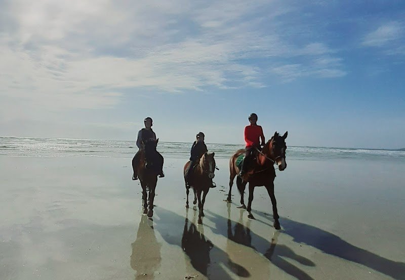Centre équestre Maestria - photo 1