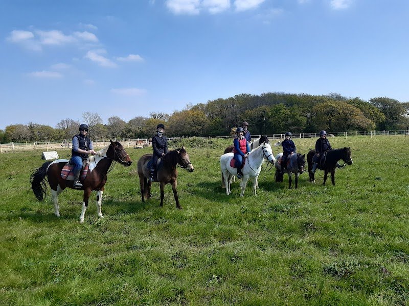 Centre équestre Maestria - photo 2