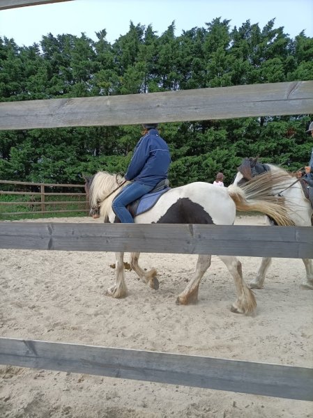 Centre équestre Maestria - photo 3