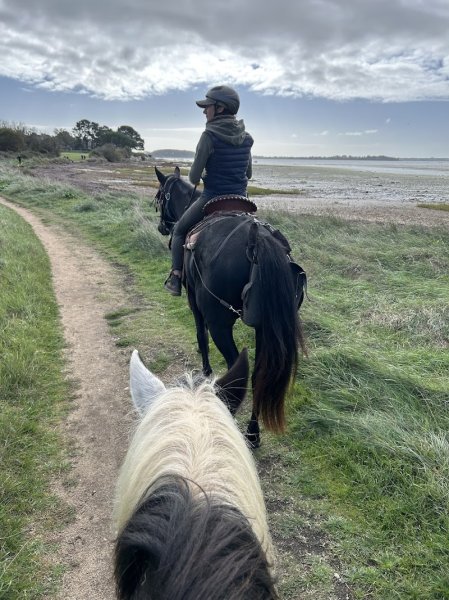 Balade à cheval golfe du morbihan - photo 1