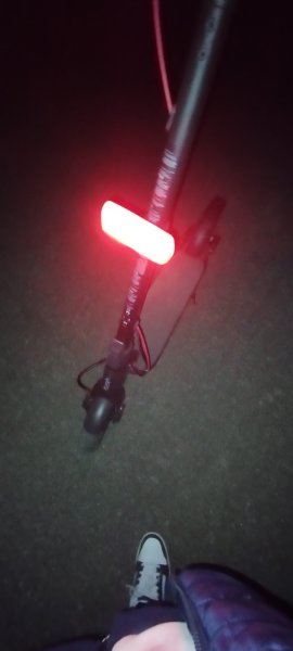 CENTRE EQUESTRE DE QUEVEN - photo 1