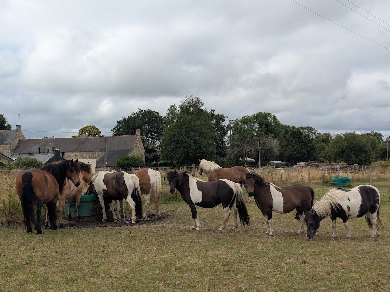 La Petite Écurie dans la Prairie - photo 1