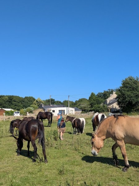 La Petite Écurie dans la Prairie - photo 2