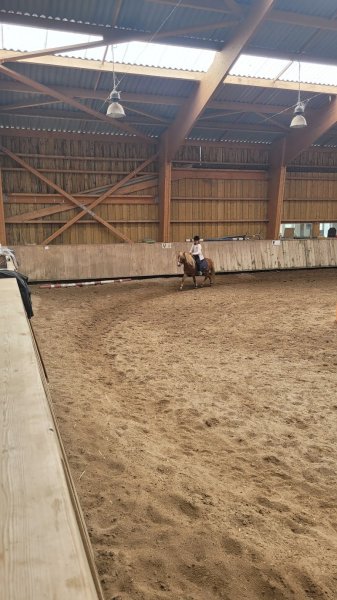 Centre Équestre des Grands Pins - photo 2