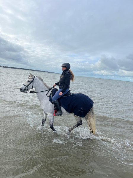 Elevage Ecurie Du Galain - Emanuelle DUBOURG - photo 2