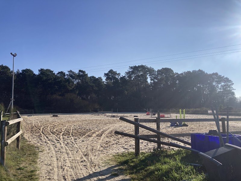 Ecurie de JENOLYS / Capucine Laloue