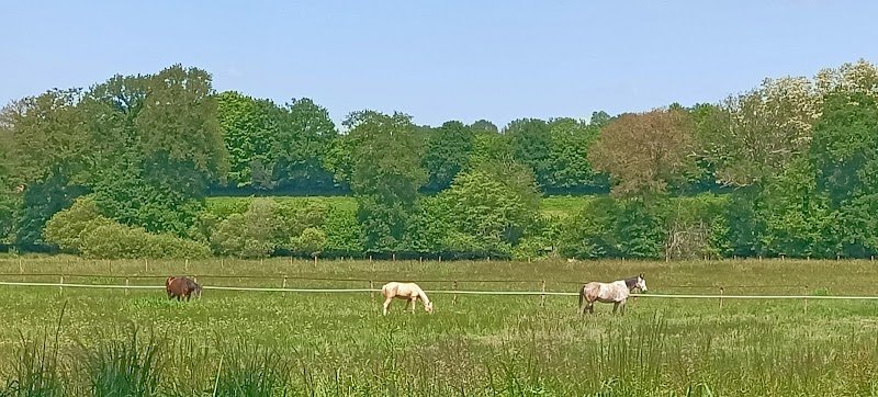 Écuries actives de Sybelle