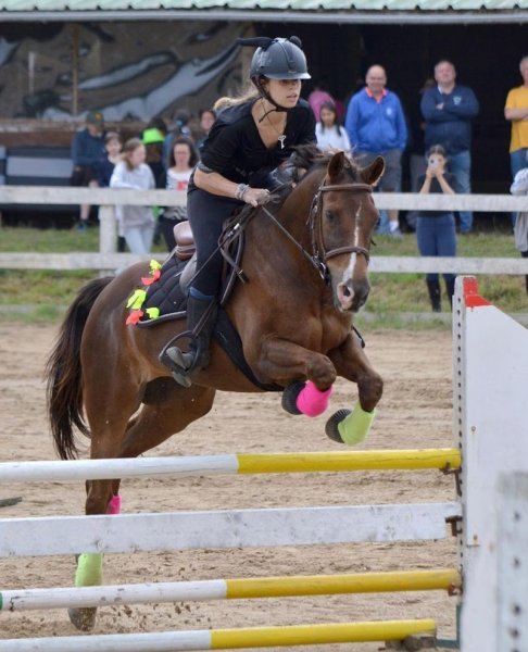 Poney Club de Caudan - photo 2