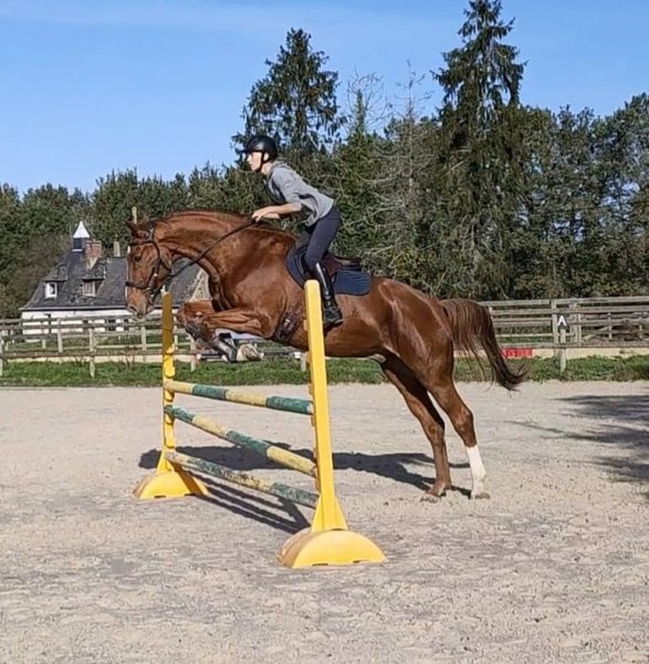 Ecurie Myssiko - photo 1