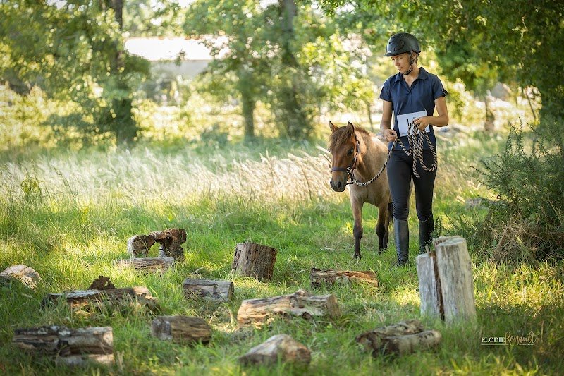 Ecurie Myssiko - photo 2