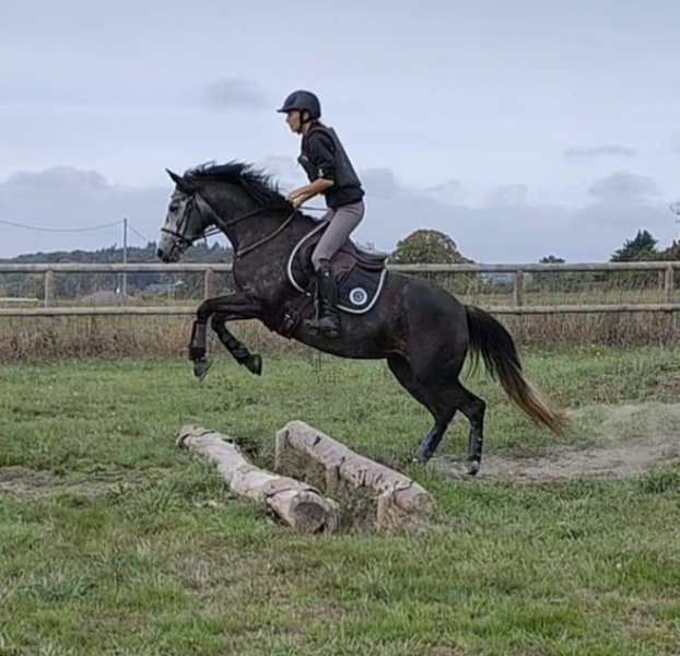 Ecurie Myssiko - photo 3