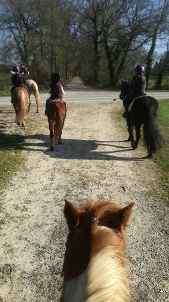 les ecuries de lavalut - photo 2