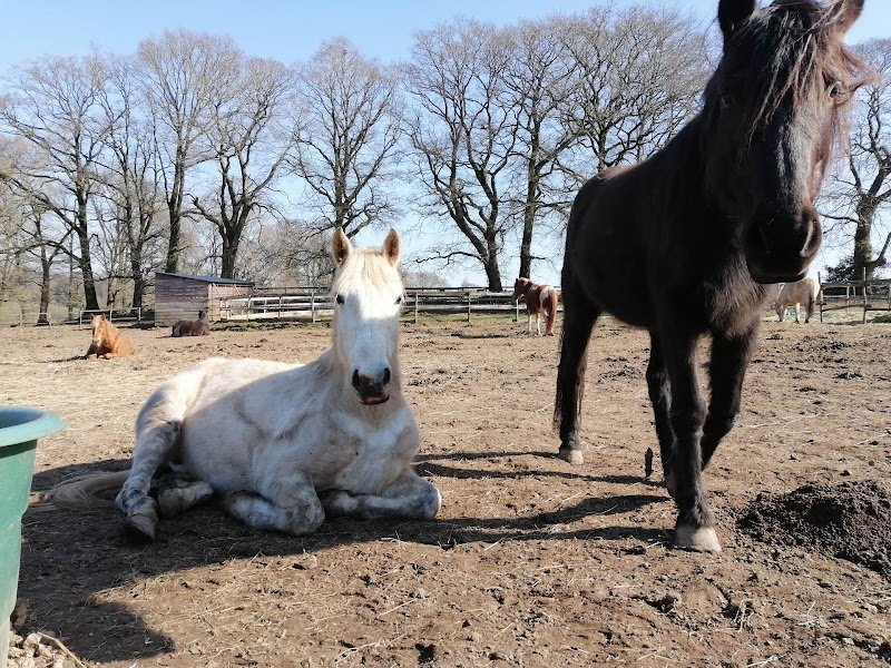 les ecuries de lavalut - photo 3