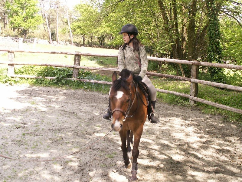 Centre équestre Botsegalo - photo 2