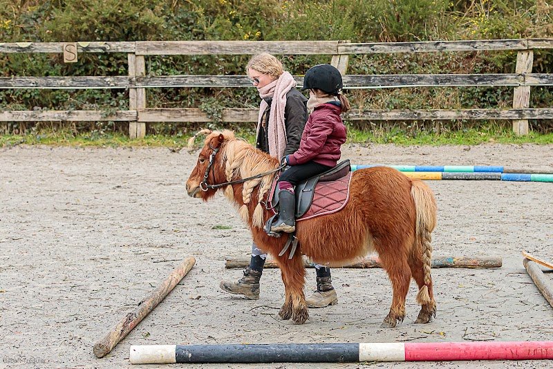 Centre équestre Botsegalo - photo 3