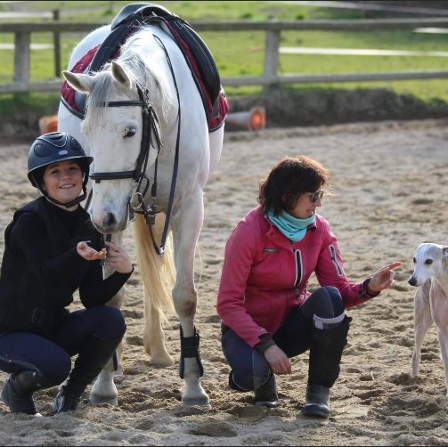 Centre Hippique Brambis - photo 3