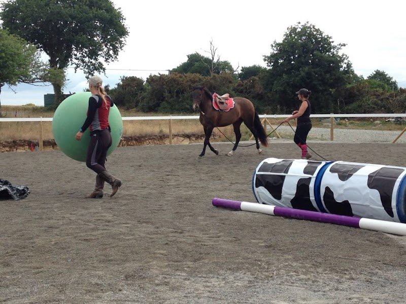 Ecuries de Kertoussaint - photo 2