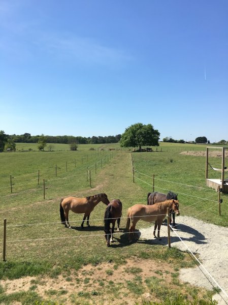 Ecuries de Kertoussaint - photo 3