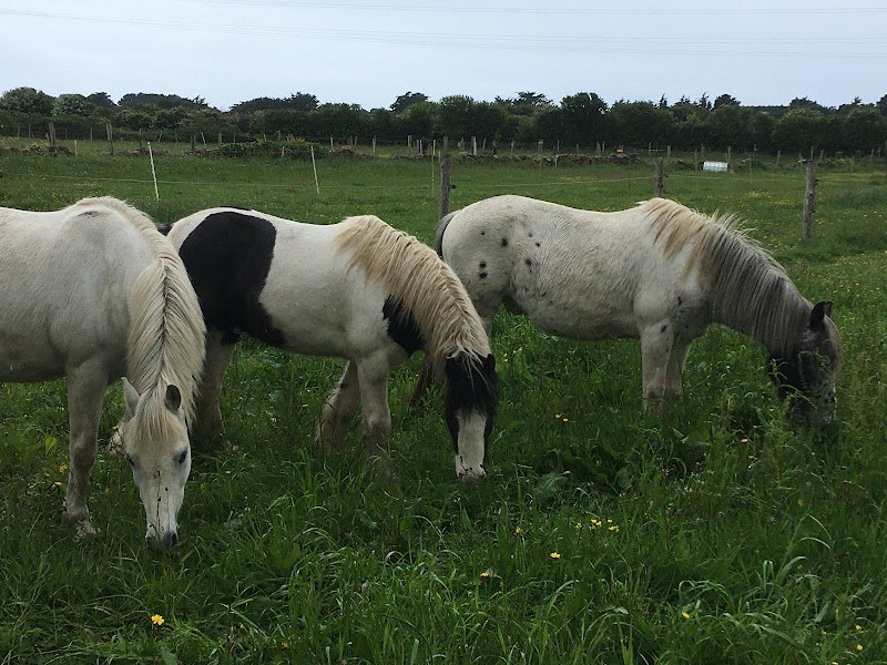 Les écuries du Rohu - photo 2